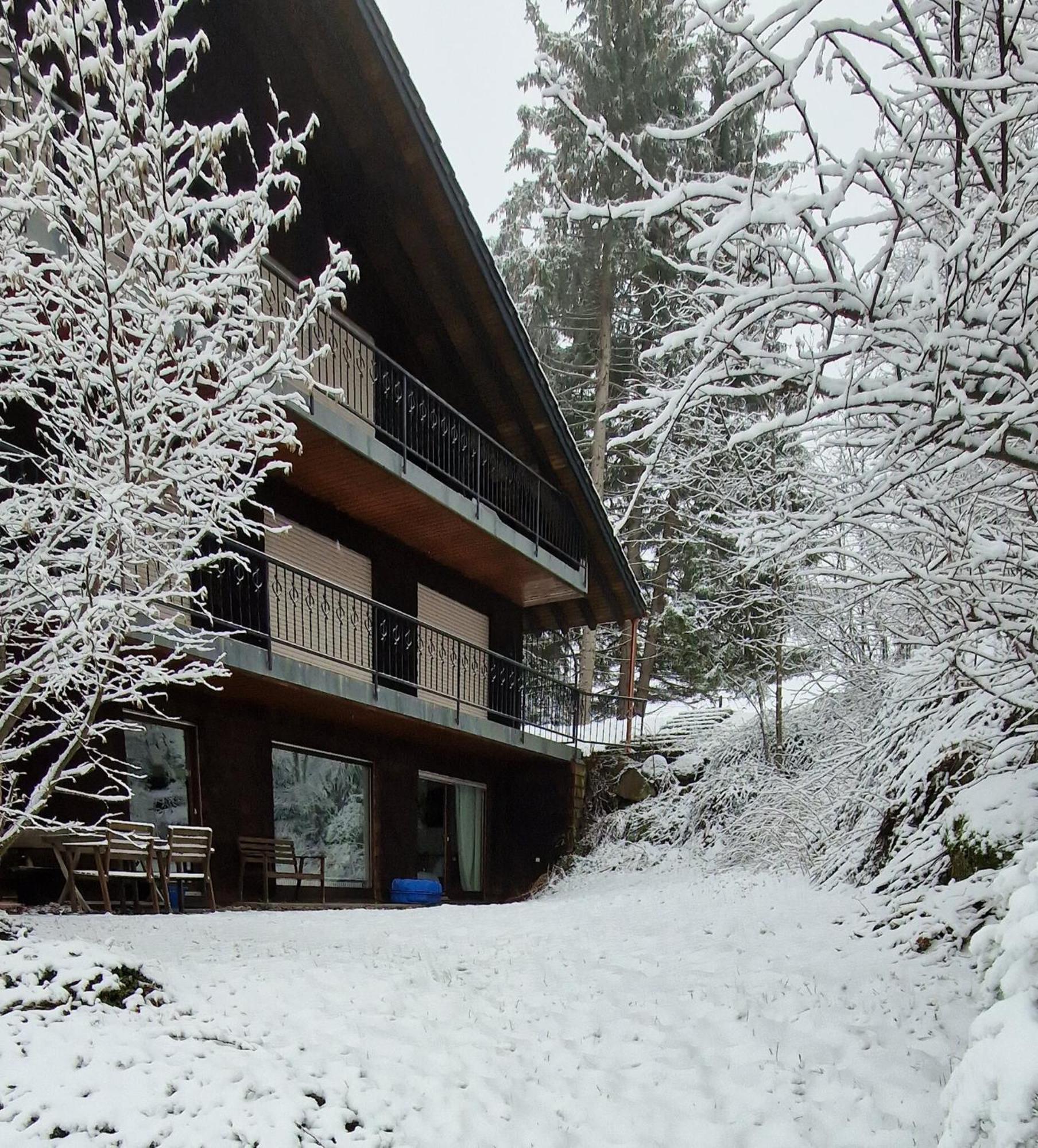 Ferienwohnung In Schoenwald Schwarzwald Экстерьер фото